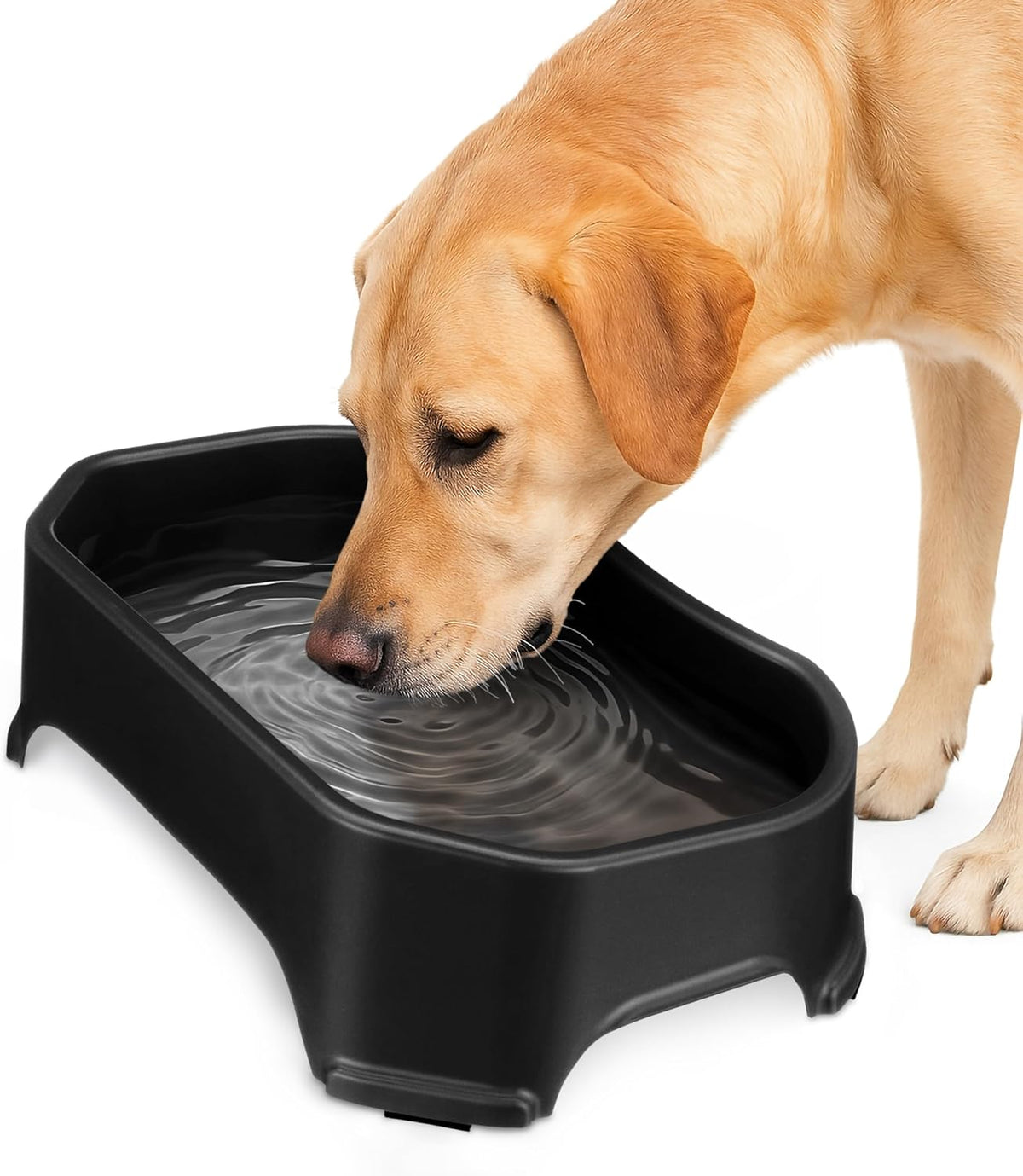 Neater Pet Brands Extra Large Water Bowl for Dogs - 1.25 Gallons / Midnight Black