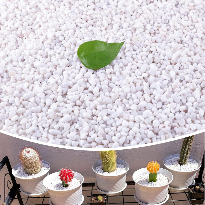 CJGQ 2.4lb Aquarium Gravel for Plants - white / 18 lb (1/4 in)