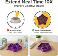 Pet Slow Feeder Bowl for Small Dogs - Purple - image 3
