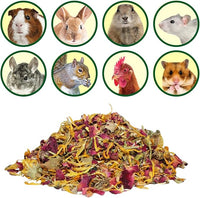 Exotic Nutrition Herbivore Treats 6 Pack - Healthy Assortment Small Animal Pet Treat - Squirrels, Guinea Pigs, Rabbits, Chinchillas, Prairie Dogs, Degus, Hamsters, Gerbils, Herbivores