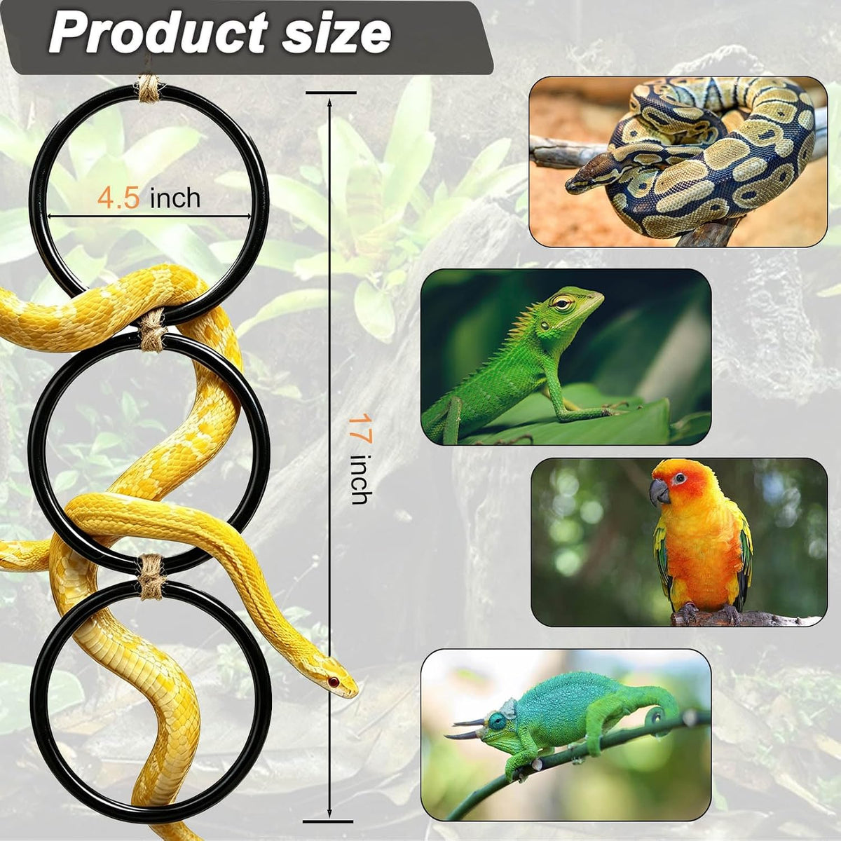 Ball Python Tank Accessory with 1 Pack Snake Climbing Ring for Decor – Essentials for Reptiles And Amphibians - 1 - image 2