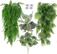 Reptile Plants for Bearded Dragon Tank Accessories - Group Abn