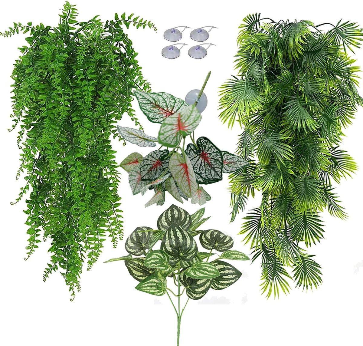 Reptile Plants for Bearded Dragon Tank Accessories - Group Abn
