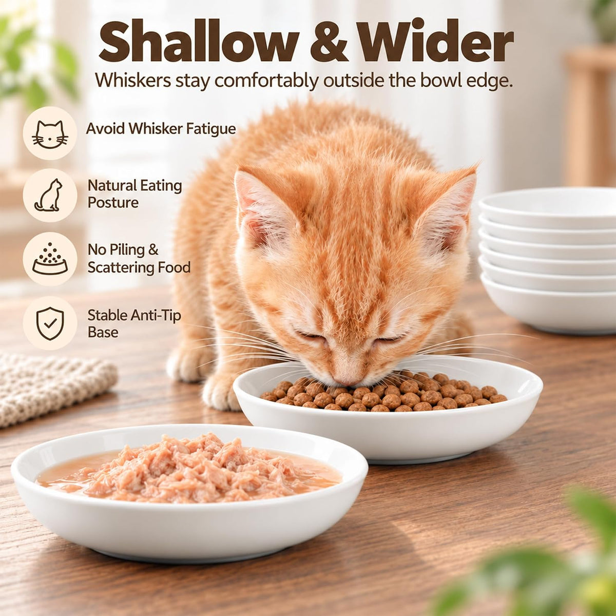 Ceramic Cat Food Bowls 6 Pack - White - No Pads - image 3