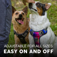 Embark No Pull Dog Harness, Reflective Adjustable Training Vest - XS / Aurora - image 4