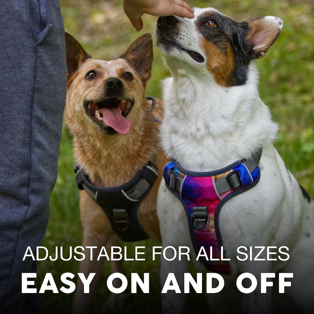 Embark No Pull Dog Harness, Reflective Adjustable Training Vest - XS / Aurora - image 4
