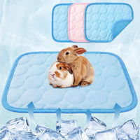 Jetec 3 Pcs Guinea Pig Beds, Fleece Small Animal Mats - Ice Silk / Summer / Pink