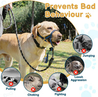 Muzzle Leash for Heavy Pullers, No Pull Stylish Head Halter – Essentials for Dogs - Blue / XL (Snout Cir: 12½"-14”) - image 2