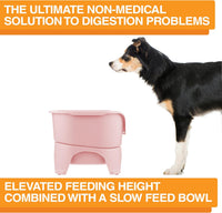 Neater Feeder Express Mess Proof Dog Bowls Elevated for Small Breeds - Medium to Large w/ 9 Peak Slow Feed Bowl / Pink - image 4