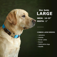 PU Leather Dog Collar for Small Dogs Puppy, Soft Lining, Green S – Essentials for Dogs - Light Blue / L: Neck 16-23", Width 1" - image 3