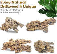 PINVNBY Natural Driftwood for Aquarium Decor Fish Tank Decorations - XL:Honeycomb wood (11.5 - 16 inches/1 Pack) - image 3