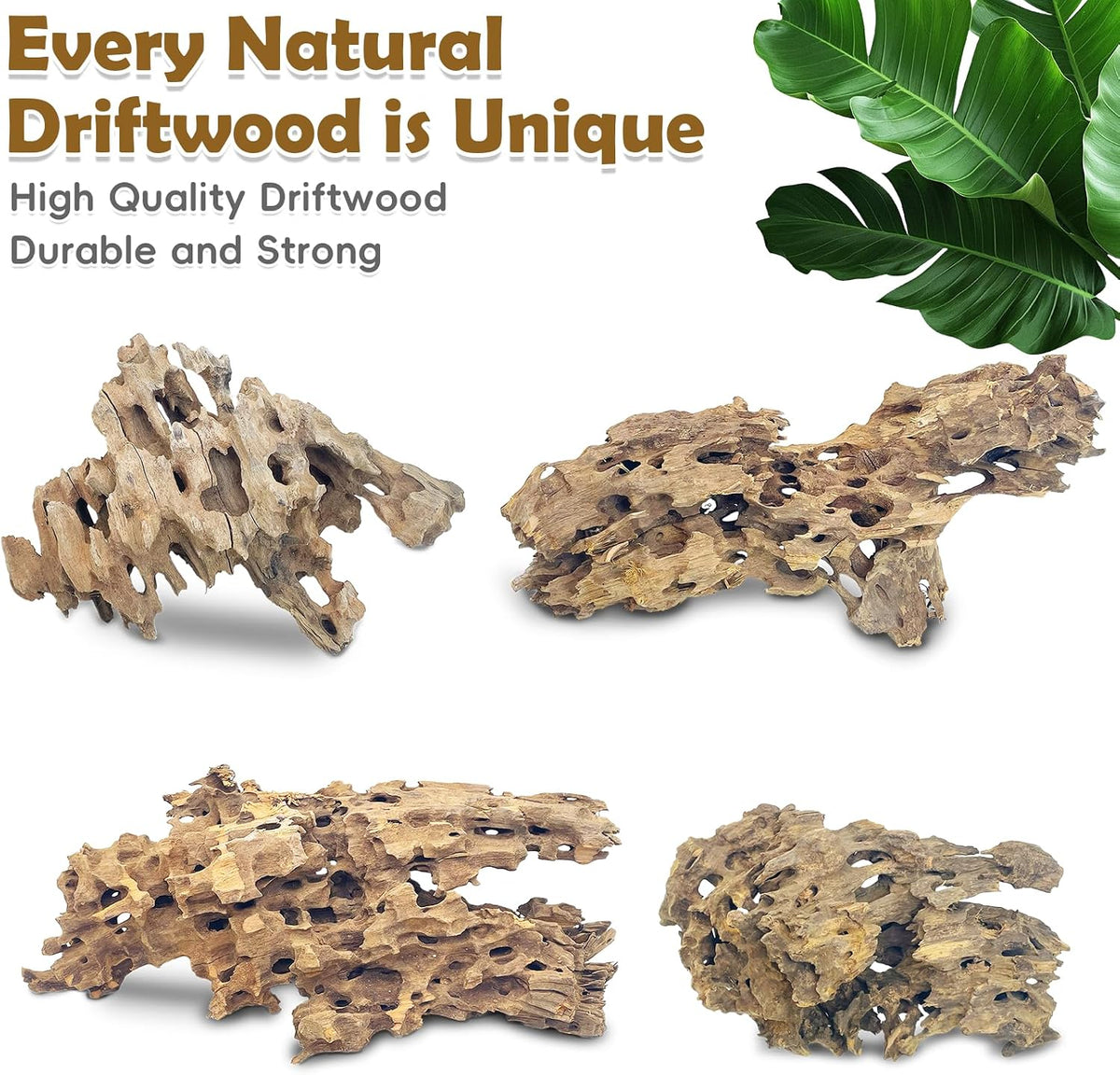 PINVNBY Natural Driftwood for Aquarium Decor Fish Tank Decorations - XL:Honeycomb wood (11.5 - 16 inches/1 Pack) - image 3
