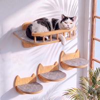 Cat Wall Shelves, Modern Cat Wall Furniture for Indoor Cats - Large / Natural Wood, 3 Steps + Perch