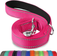 Joytale Reflective Dog Leash for Medium & Large Dogs - 4 ft Narrow / Hotpink