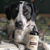 Hemp Well Thrive Oil for Dogs and Cats – Supports Hip, Joint, and Heart Health, Promotes Immune System, and Promotes Healthy Skin from Seasonal Allergies, Organically Sourced - 16 Ounces