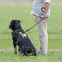Beebiepet Tactical No Pull Dog Harness with Leash - Black / Large - image 3
