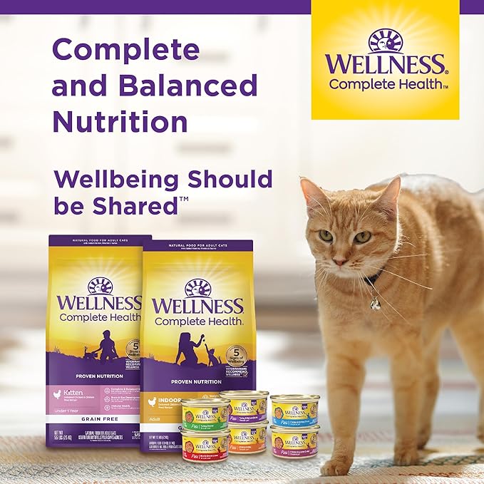 Wellness Complete Health Pate Kitten Wet Cat Food, Natural, Protein-Rich, Grain Free, 3 Ounce, 12 Pack, (Whitefish & Chicken Variety Pack)