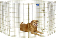 MidWest 30-Inch Exercise Pen, Single Door, 16 Sq Ft Play Area – Essentials for Dogs - Gold Zinc w/ Door / 42" H