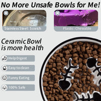 Ceramic Elevated Slow Feeder Cat Bowl, Anti Vomit - 2PCS Black Plates - image 3