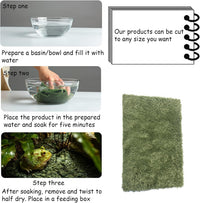 2pcs Reptile Carpet Terrarium Liner Tortoise Bedding Reptile - 2PCS（L）：19.68 X 11.81 in - image 2