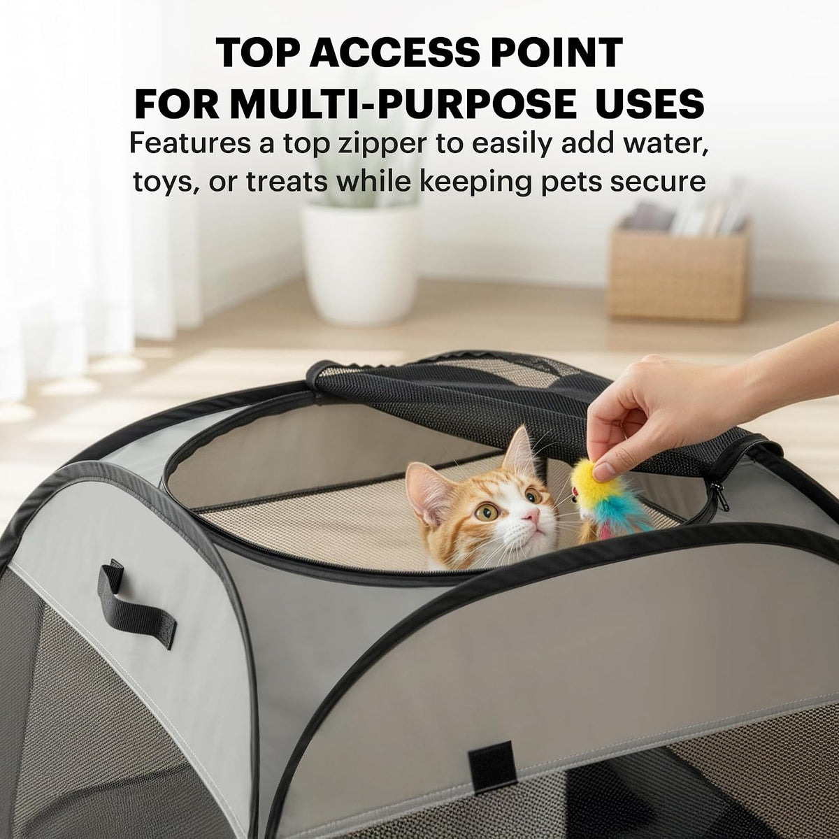 LAFYETTE., US Based, Portable Cat Playpen - image 4