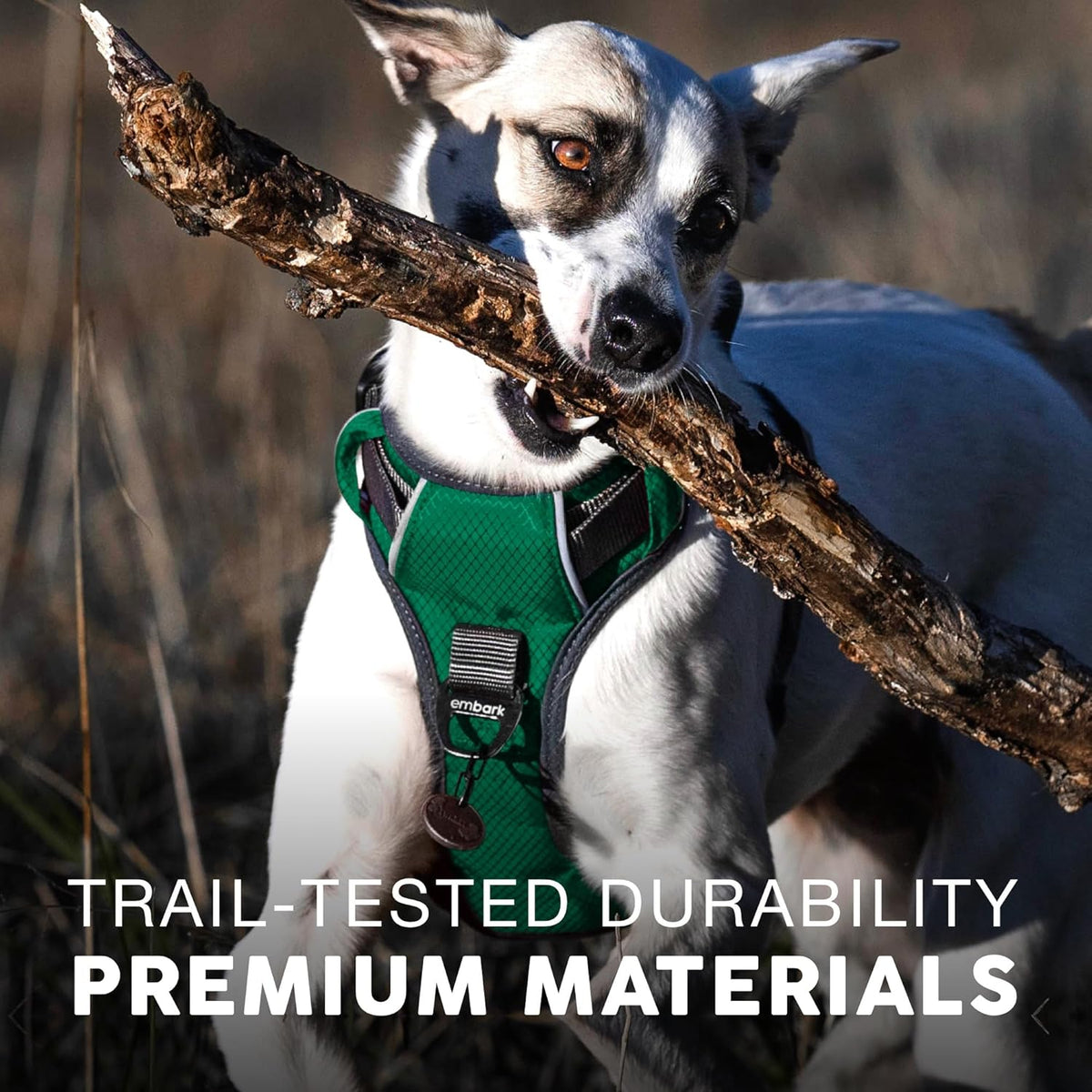 Embark No Pull Dog Harness, Reflective Adjustable Training Vest - M / Green - image 3