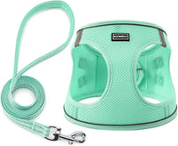 Dog Harness with Leash Set, Step-in Adjustable Puppy Pet Vest - Green / M(Chest:16"-18")
