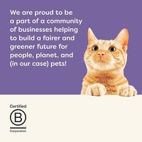 Applaws Natural Wet Canned Cat Food, Made with Limited and Natural Ingredients, Real Protein with No Artificial Additives, Variety Pack in Broth (16 x 2.47oz Cans)
