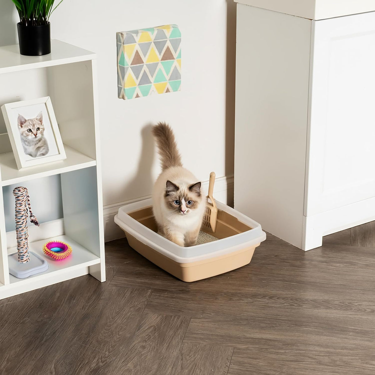 IRIS USA Top Entry Cat Litter Box, Hooded Privacy - Open Top / Beige - image 3