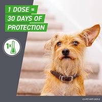 FRONTLINE Plus Flea and Tick Treatment for Large Dogs Up to 45 to 88 lbs. 3 Treatments