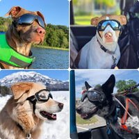 Dog Goggles for Large Breeds - 2Pcs L - image 2