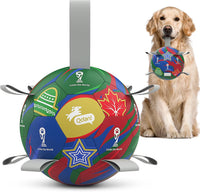 QDAN Dog Balls, Outdoor Dog Toys - Large Size 3 / World Cup