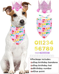 PET SHOW Pink Crown Dog Birthday Party Hat for Girls Reusable - Pink Crown + Bandana - image 3