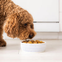 Pearhead Ceramic Dog Bowl, Woof Speckled Pet Food & Water Dish - Navy Dots Bowl / Small - image 2