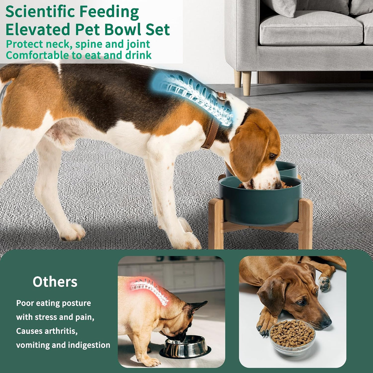 Elevated Ceramic Dog Bowl - Green / Medium - image 4