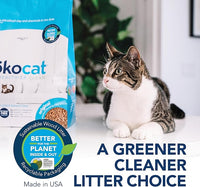 ökocat Original Wood Clumping Cat Litter, Unscented, 12.6 pounds - Natural Ingredients, Stops Odor, Clumps Solid, 99% Dust Free, Great for All Cats