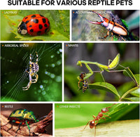 MYGIIKAKA Jumping Spider Enclosure Accessories - 3x3x6 inch - image 4