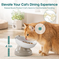 vancasso Slow Feeder Cat Bowls - Grey - image 3