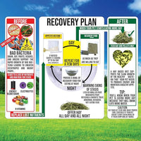 Pet Guinea Pig Emergency Kit with Timothy Recovery Food (Large Emergency Kit)
