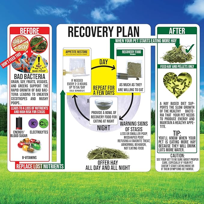 Sherwood Pet Health Rabbit Emergency kit and Bulk Recovery Food (Small kit)