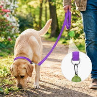Joytale Reflective Dog Leash for Medium & Large Dogs - 5 ft Standard / Purple - image 2