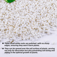 CJGQ 2.4lb Aquarium Gravel for Plants - white / 18 lb (1/4 in) - image 2