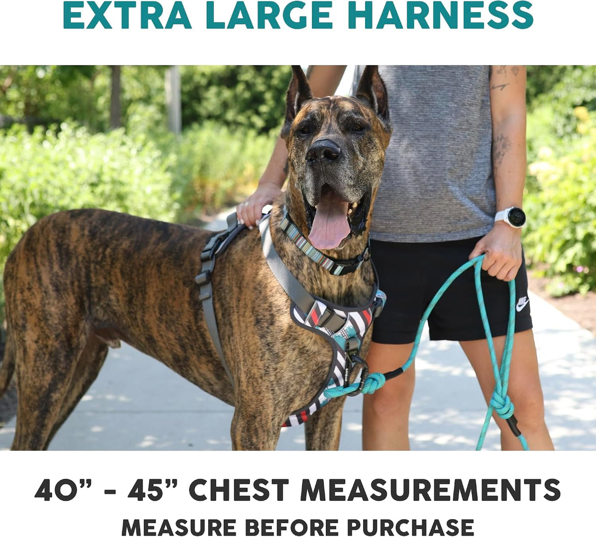 Embark No Pull Dog Harness, Reflective Adjustable Training Vest - XL / Baja - image 3