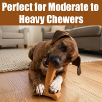 SPOT Bam-Bones Plus T-Bone Dog Chew - Peanut Butter / Medium - image 3