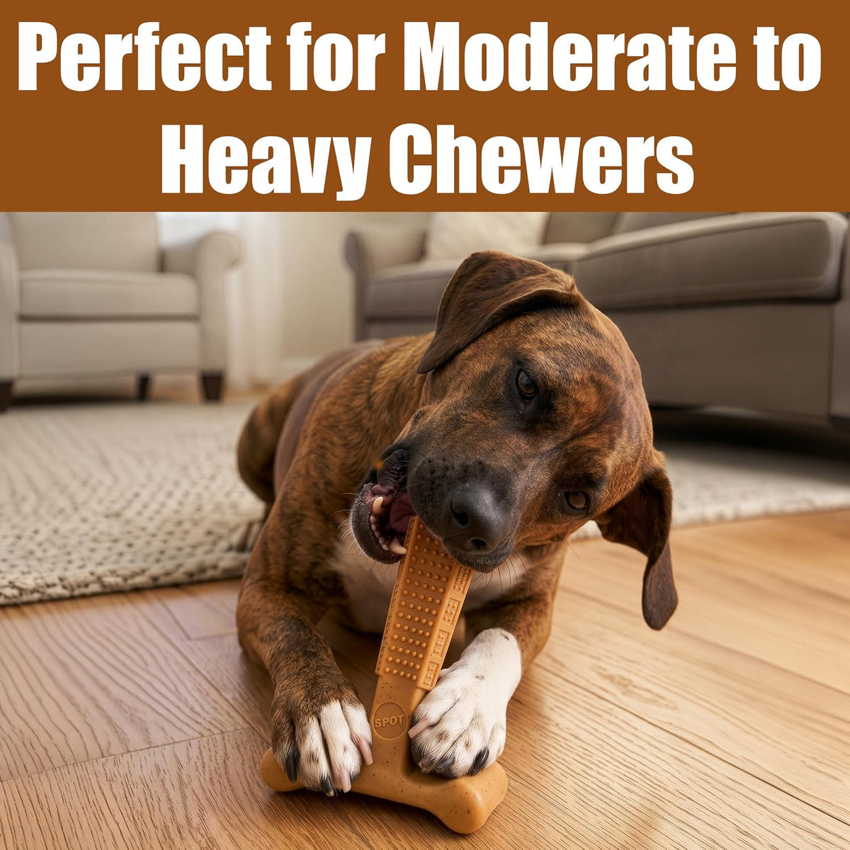 SPOT Bam-Bones Plus T-Bone Dog Chew - Peanut Butter / Medium - image 3