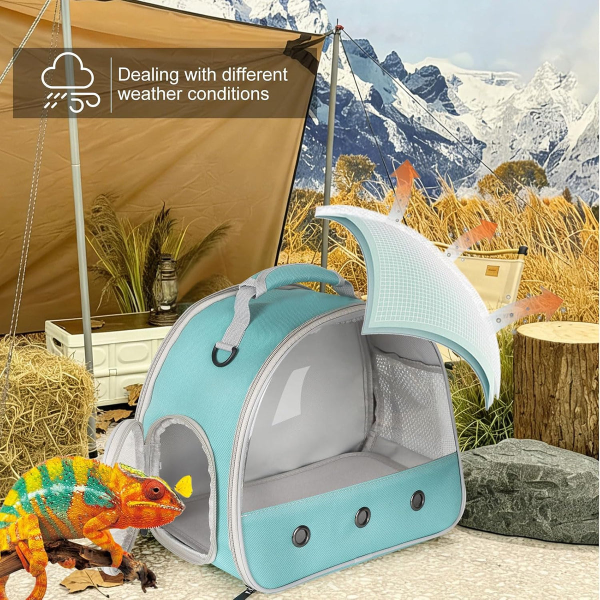 Bearded Dragon Travel Carrier, Lizards Carrier - Green / Carrier - image 4