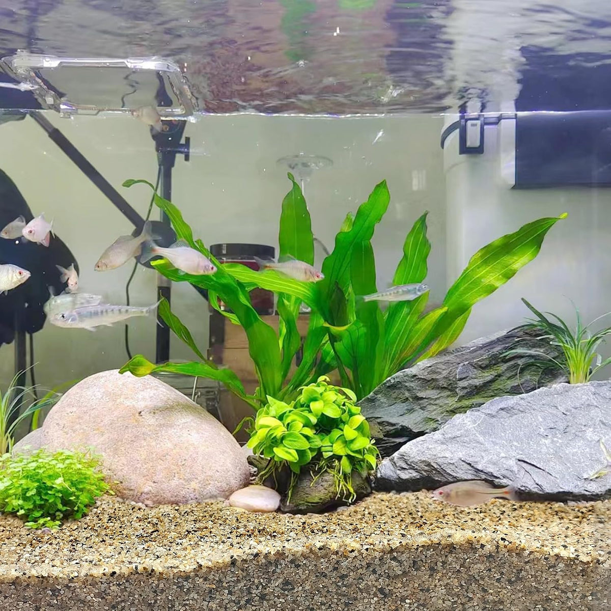 5 lbs Aquarium Sand, Beige Fish Tank Sand - Mixed / 20 LB - image 3
