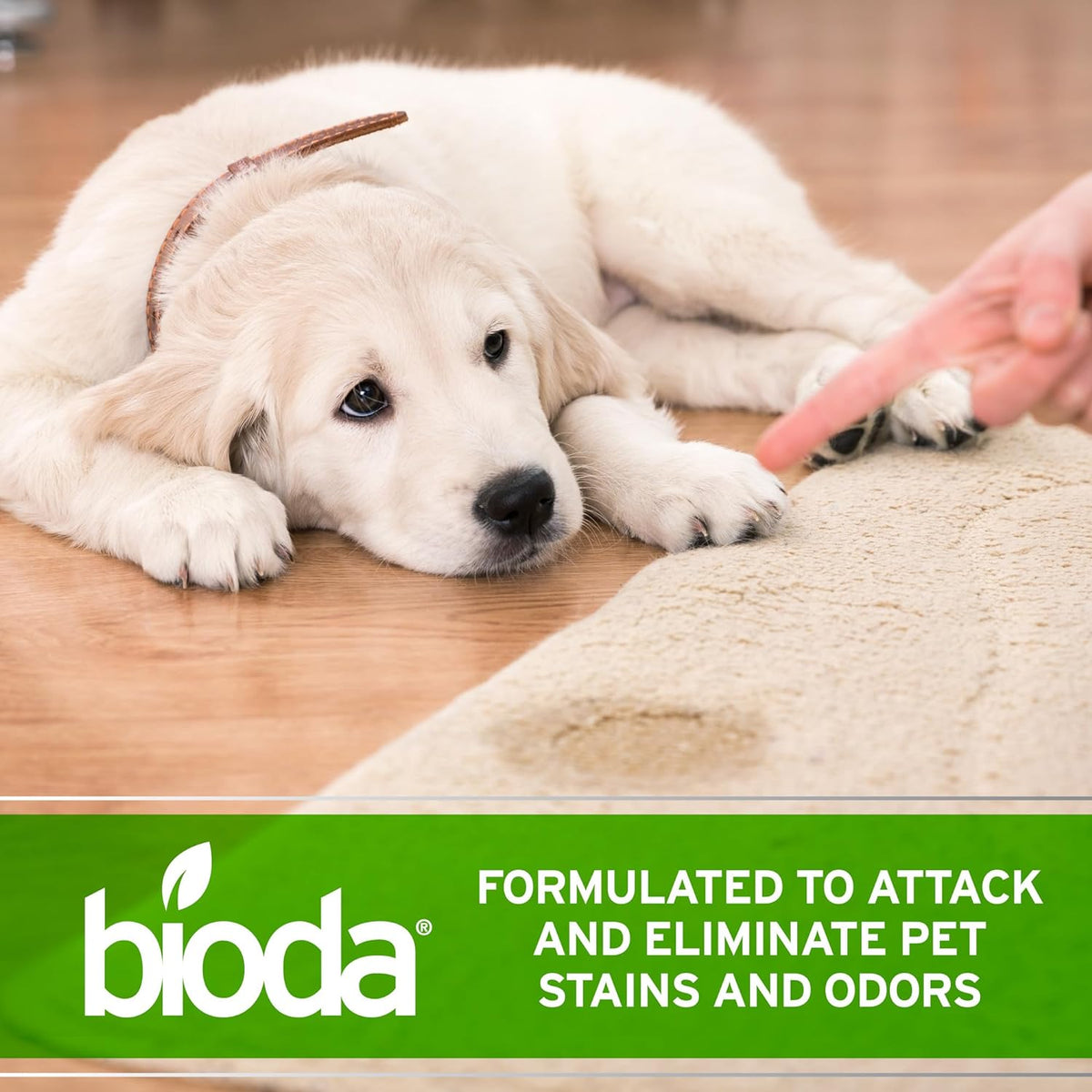 Bioda Commercial Strength Enzymatic Stain & Odor Eliminator for Pets - 1 gallon - image 3