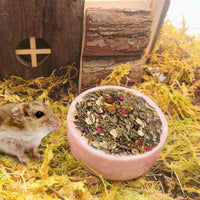 2 Pcs Hamster Food Bowl Guinea Pig Ceramic Water Bowl Small Animal - Pink / 2Pcs:S - image 2