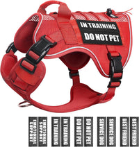 WINSEE Service Dog in Training Mesh Harness with 10 Removale Pet - Large / Red